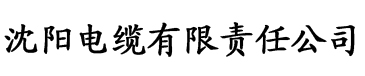 成人亚洲欧美一区二区三区电缆厂logo